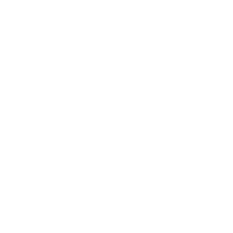 Mel Torres Logo